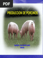 01 Producción de Porcinos