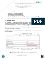 Guia de Laboratorio de Metalografia I 2019