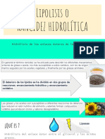 Lipolisis o RANCIDEZ HIDROLÍTICA PDF