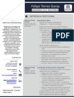 Curriculum Profesional