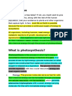 Photosynthesis