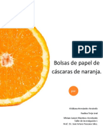 Bolsas de Papel de Naranja