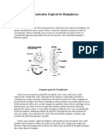 Processamento Mineral - Relatorio Humphreys