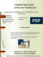 Aperturas en Endodoncia