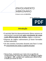 Desenvolvimento Embrionário Fase Fetal