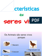 1º Ano Do Ensino Médio - Caracteristicas Dos Seres Vivos