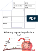 Types of Mutations