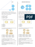 Evaluacion de Meiois