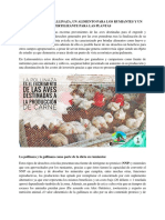 La Pollinaza y Gallinaza PDF