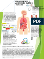 Cuerpo Humano Actividad Fisica