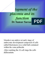 Development of The Placenta and Its Function