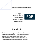 Danos Causados Por Doenças Nas Plantas