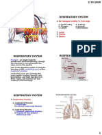 1d Respiratory System