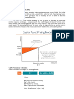 Capital Asset Pricing Model Written Report