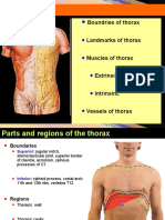 Chest Wall YAYDAR 2014-2015