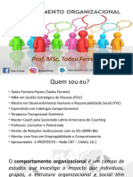 AULAS SLIDES COMPORTAMENTO ORGANIZACIONAL (Sem Videos)