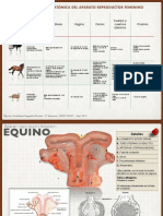 PDF Anatomia Reproductiva Hembras