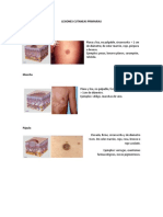 Lesiones Cutaneas Tropical