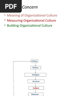 Issues of Concern: - Meaning of Organizational Culture