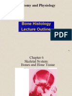 Anatomy and Physiology: Bone Histology Lecture Outline