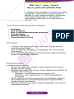 CBSE Class 11 Biology Chapter 21 Neural Control and Coordination Notes