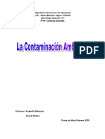 Contaminacion Ambiental 1