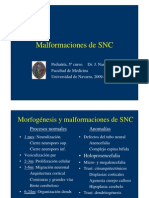 Malformaciones SNC