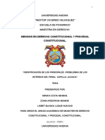 Tesis "Identificacion de Los Principales Problemas de Los Internos Del Penal Capilla - Juliaca"