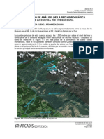 Documento de Análisis de La Red Hidrográfica de La Cuenca Río Huequecura