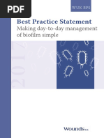 Best Practice Statement Making Daytoday Management Biofilm Simple PDF