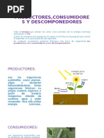 Cadena Alimenticia