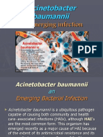 Acinetobacter Baumannii