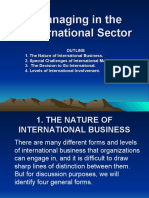 Managing in The International Sector