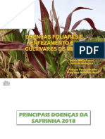 Doenças em Cultivares de Milho Safrinha Gisele Fantin