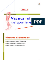 Tema 10 Vísceras Retro y Metaperitoneales