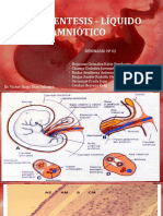 Liquido Amniotico Expo