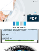 Special Senses Reporting