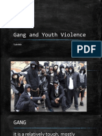 Gang and Youth Violence