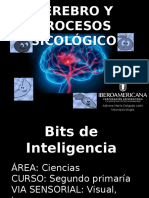 Bits de Inteligencia