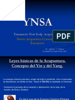 Ynsa 1