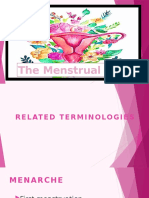 Menstrual Cycle