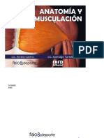 Anatomía y Musculación