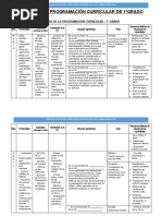 1ro Matriz Programación Primaria