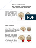 Especialidad de Sistema Nervioso PDF