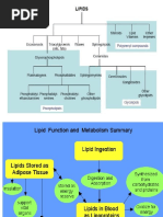 Lipidet Biokimi