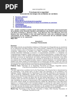 Psicologia de La Seguridad PDF