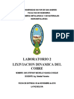 2lab de Crista Dina Estati