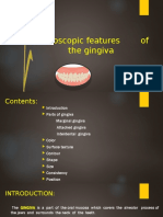 Macroscopic Features of Gingiva