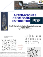 Alteraciones Cromosomicas Estructurales