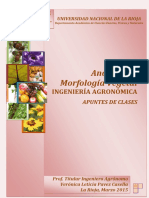 Apuntes Anat y Morf 2015 PDF